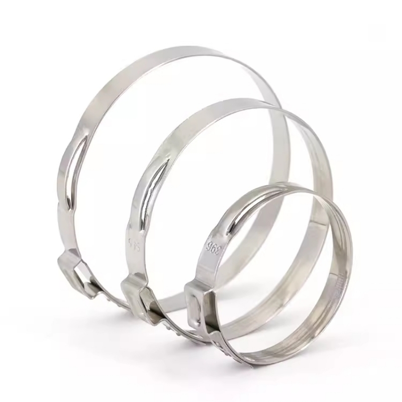 Hose Clamp Assorted - 5-20 adet 5.3-159mm 304 Paslanmaz Çelik